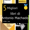 Migliori libri di Antonio Machado